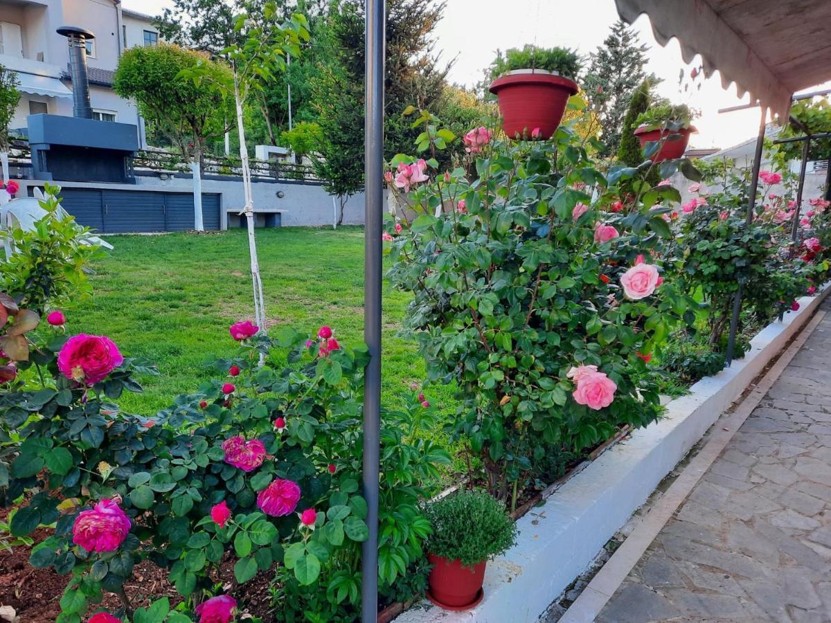 New Loft Polixeni Apartment Ioannina Luaran gambar