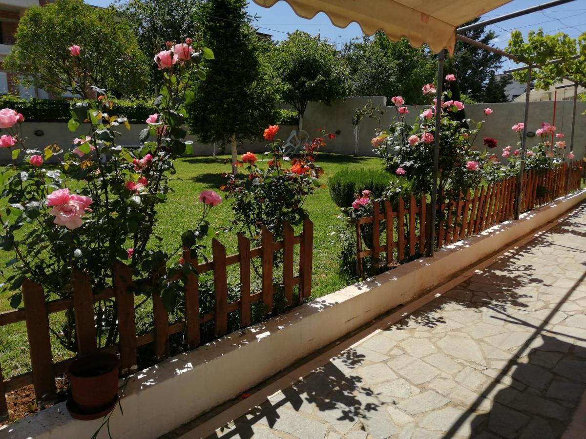 New Loft Polixeni Apartment Ioannina Luaran gambar