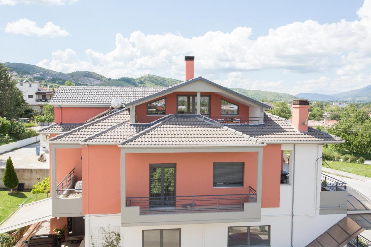 New Loft Polixeni Apartment Ioannina Luaran gambar