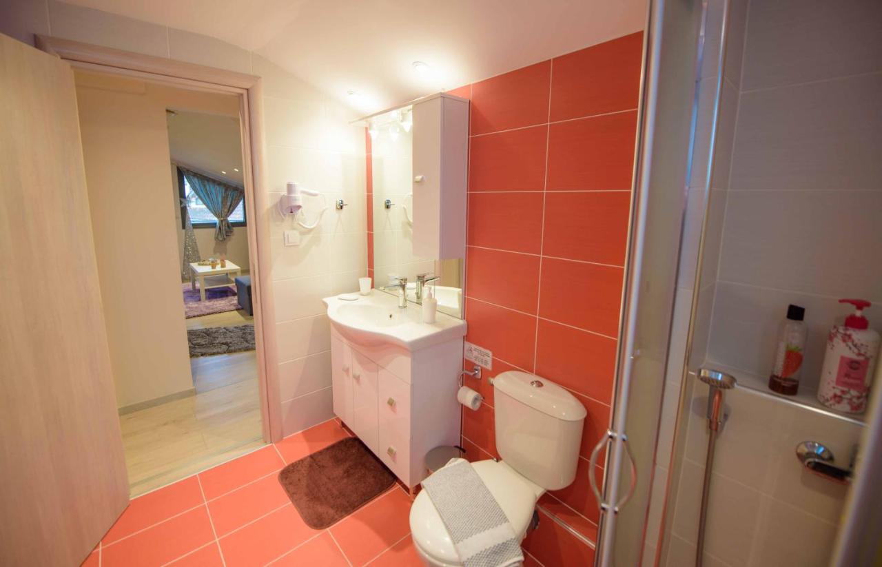 New Loft Polixeni Apartment Ioannina Luaran gambar